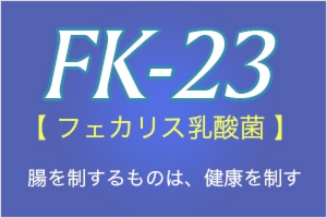 FK-23乳酸菌